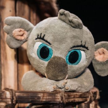 Bunji, la petita Coala