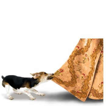 El perro del hortelano